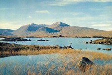 Black Mount from the Moor of
