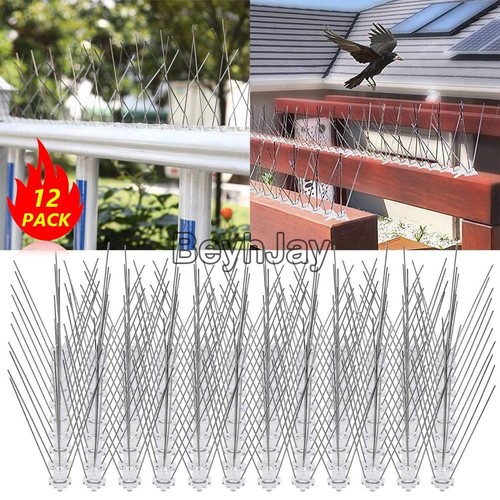 12pack bird pigeon - metal, wall