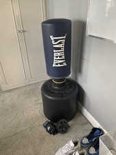 Everlast Free standing Boxing punch bag with Gloves