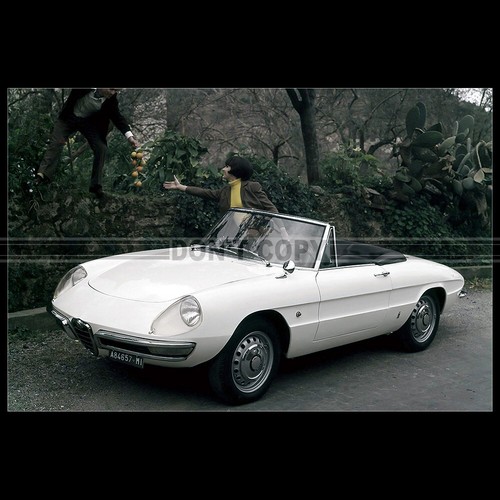 Photo 027721 alfa romeo - photo, a.027721