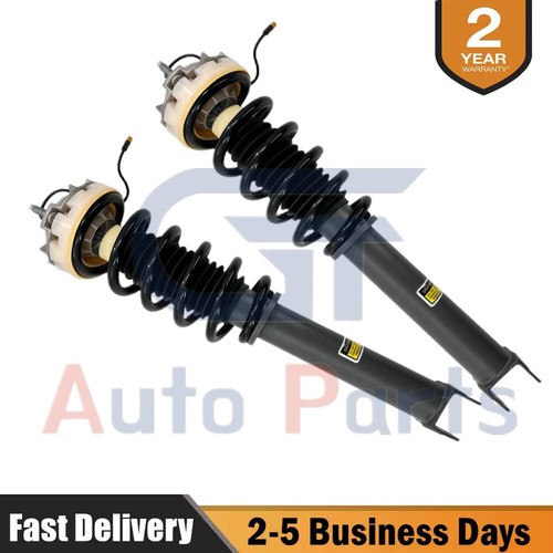 Pasm rear shock struts - 2x,