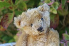 Beautiful early antique apricot Steiff bear c1906