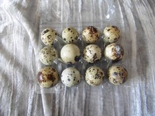 12 X Jumbo Quail eggs mixed