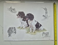 Nigel Hemming print spaniels