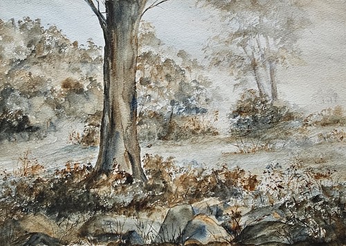 Autumnal woodland landscape - autumnal,