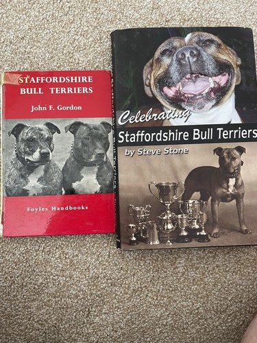 Staffordshire bull terrier - staffordshire,