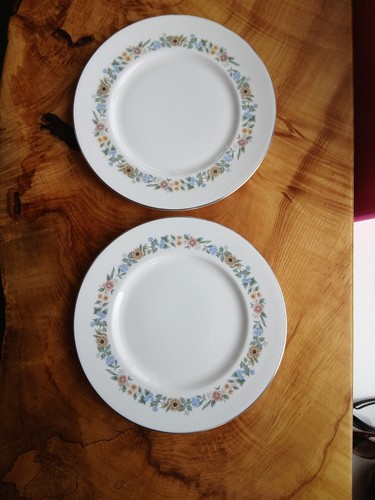Pair dinner plates - pair, 10