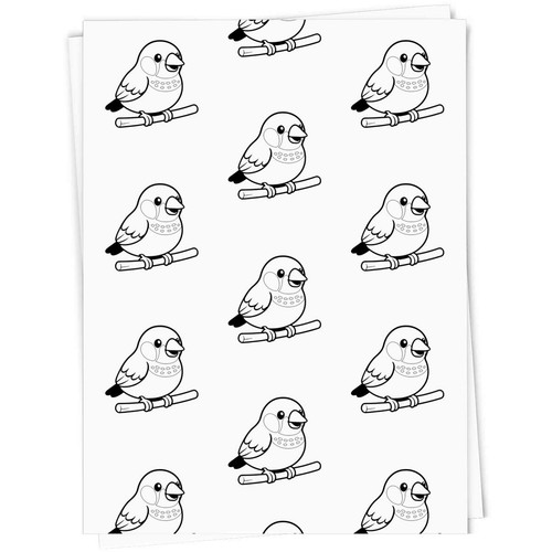 Zebra finch gift - finch', wrap