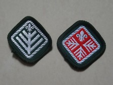 Scout Standard & Advanced