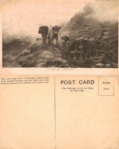 Vintage postcard evening - vintage,