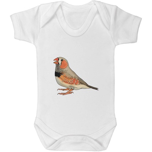Zebra finch baby grows - finch', /