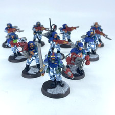 Cadian Shock Troop Squad -