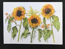 Phoenix Trading Cards. Three