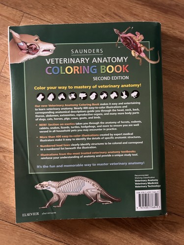 Veterinary anatomy coloring - anatomy,