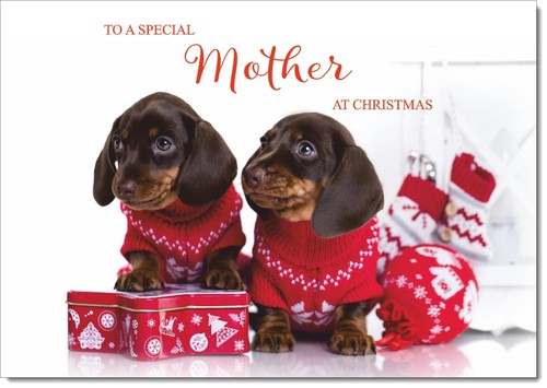 Doodlecards mother christmas - mother,