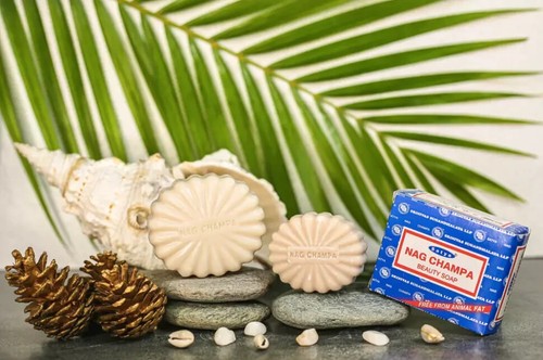 Satya nag champa - satya,