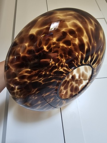 Glass tortoise shell - tortoise, easy