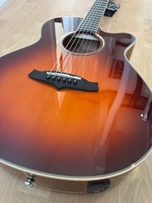 Tanglewood Winterleaf Electro