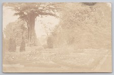 RPPC Large Garden & Cedar Tree Motcombe Shaftesbury Dorset c1920s KGV Stamp