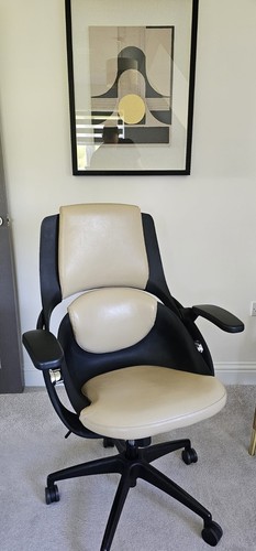 The backstrong office chair - backstrong,