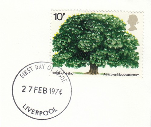 Horse chestnut tree used - horse, gb