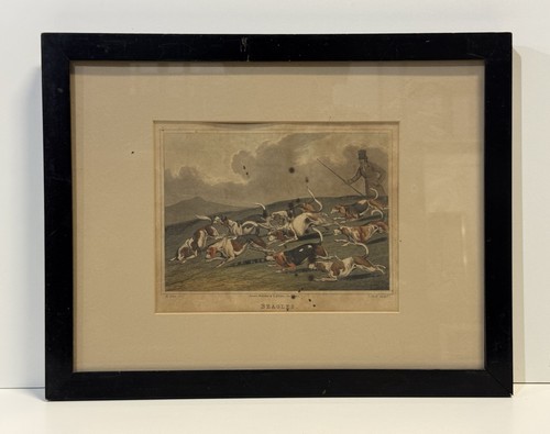 Antique beagles dog hunting - beagles,