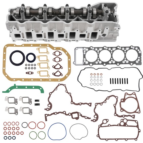 Cylinder head assembly - head, +
