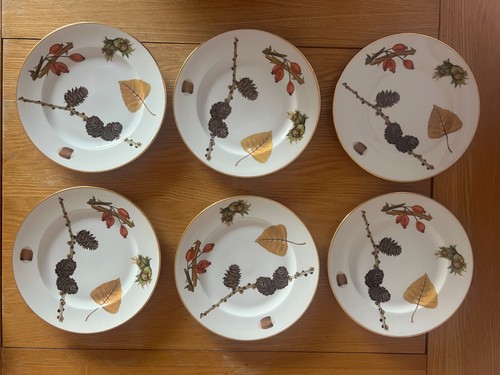 Royal worcester wild - 6,