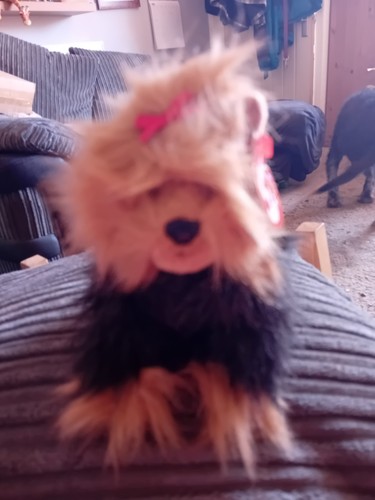 Beanie babies yapper the - yapper,