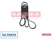 V-Ribbed Belt for JAGUAR
