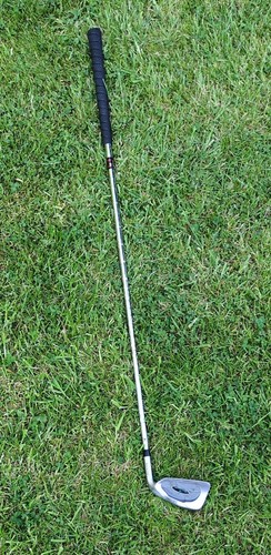 Vintage stinger iron - vintage,