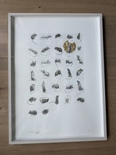 Charming Baker – Being