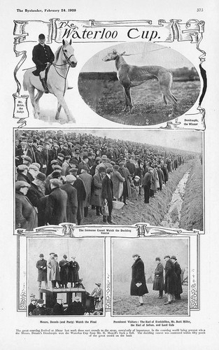 Coursing scenes from the - scenes,