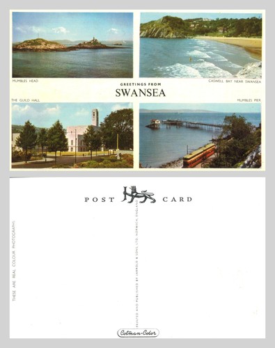 Postcard greetings from - postcard,