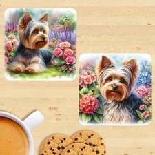 Yorkshire Terrier Dog