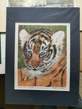 3 Tiger Prints limited edition