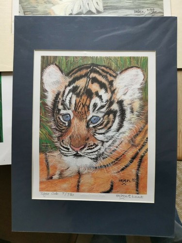 Tiger prints limited edition - tiger,