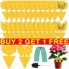 41Pack Sticky Fly Traps Plant