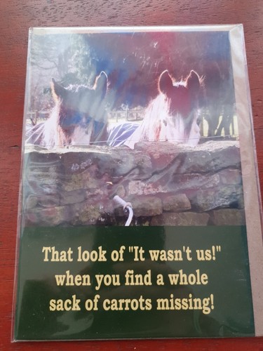 Horse birthday card funny card