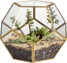 NCYP No Door Geometric Glass