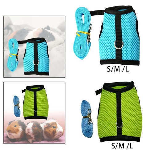 Adjustable harness with - harness, leash