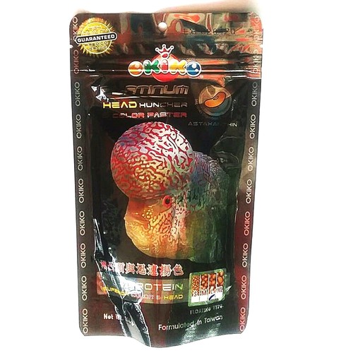 Okiko cichlid flowerhorn fish - cichlid,