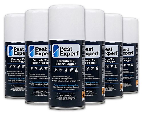 Flea fogger pest - fogger, expert