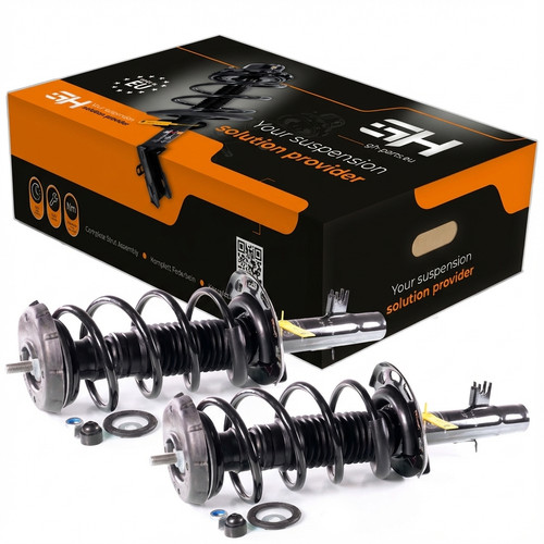 Complete struts assembly - complete,