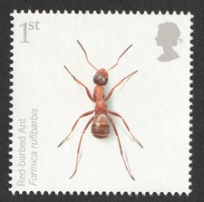 2008 1st Red Barbed Ant. Insects. Action for Species UM. SG 2833