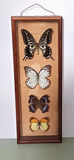 VINTAGE SMALL FRAMED BUTTERFLY