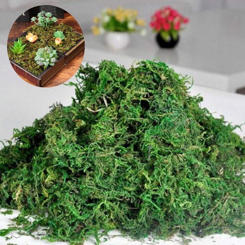 200g artificial reindeer moss - 200g,