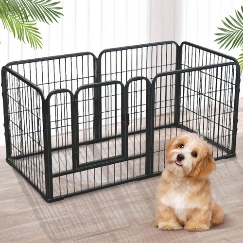 Heavy duty puppy - duty, play