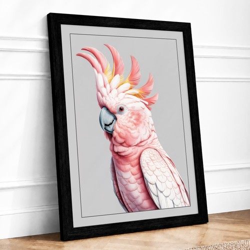 Cockatoo profile boho - profile,