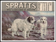 Pyrenean mountain dog spratts - dog,